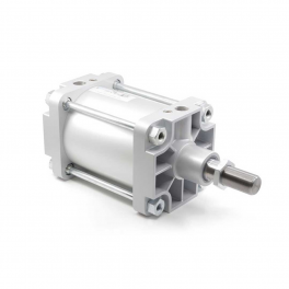 Пневмоцилиндр PMCA-125-450 Pemaks